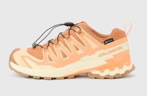Salomon Xa Pro 3D V9 Gtx Naisten Maastojuoksukenk&auml; - Pecan Brown/Nectarine/Almond Cream