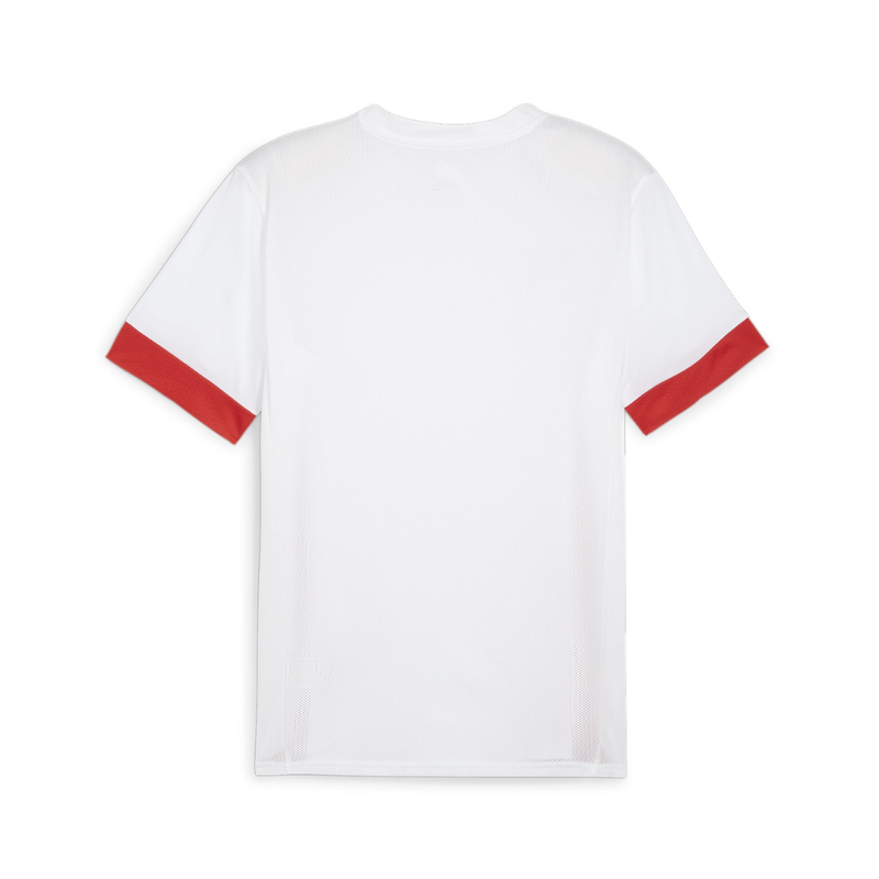 Puma teamGOAL Matchday Jersey Sr - white